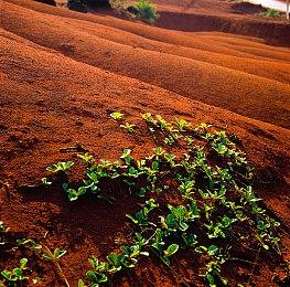《鬼谷八荒》正式版5月26日上线 不归玄境DLC免费领